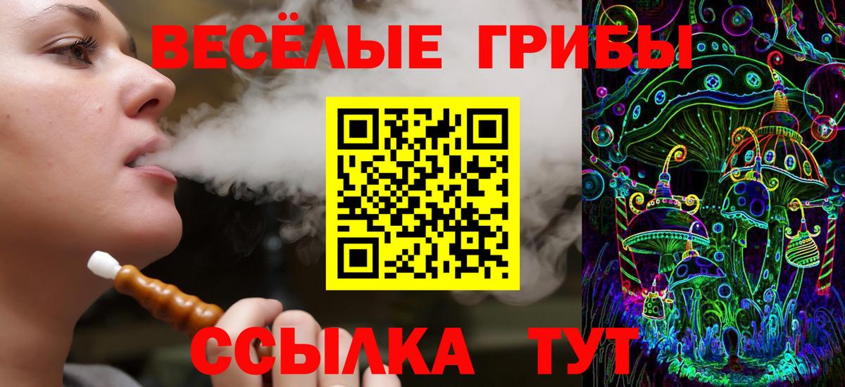 Чистополь  Псилоцибиновые грибы Magic Shrooms  Вход с VPN 